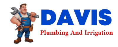 Trusted plumber in PINEY FLATS